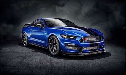 shelby mustang_shelby mustang gt500